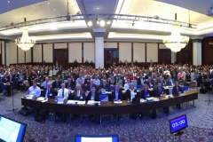 The delegates to the 5th International Conference on Concussion in Sport